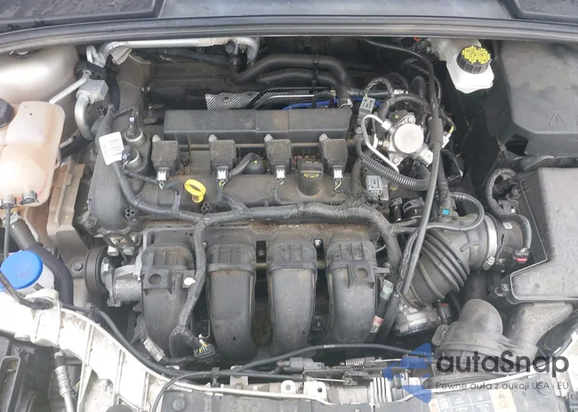 1FADP3M24JL222234: 43392728