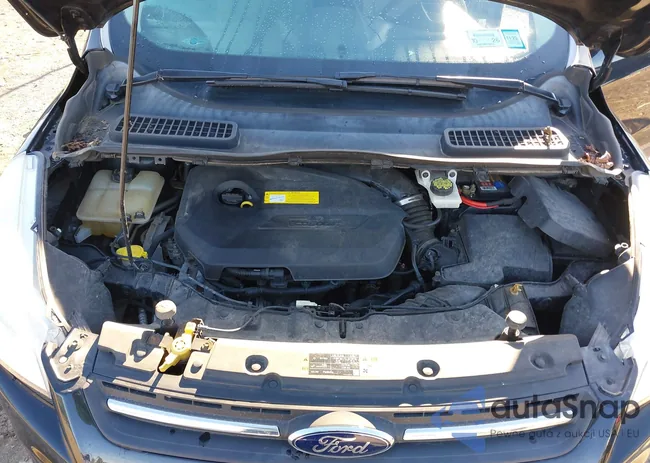 1FMCU9GX5FUB47193: 43392837