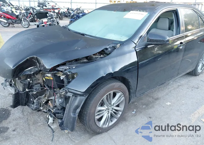 4T1BF1FK6GU524290: 43393196