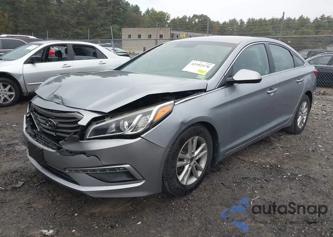 5NPE24AFXFH164748: 43392570