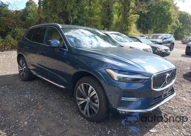 YV4062RL8N1077916: 43393840