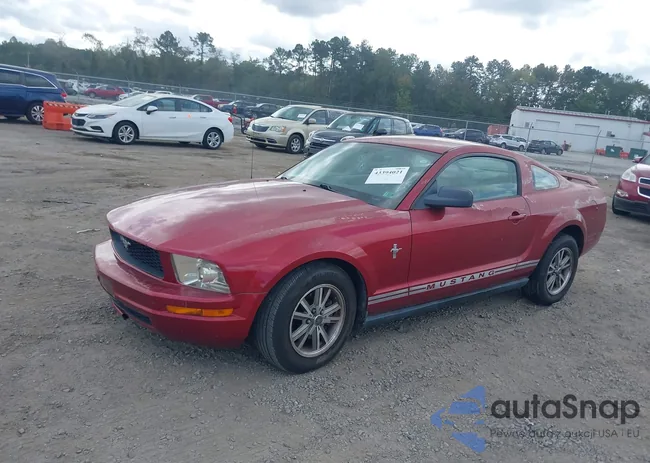 1ZVFT80N255206164: 43394021