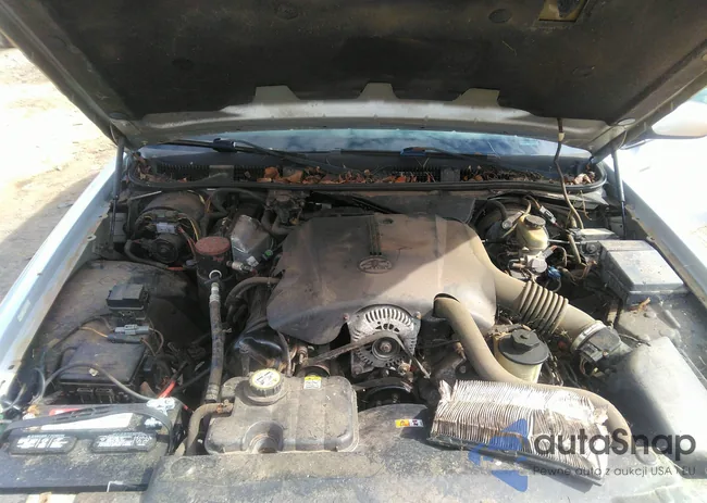 2MEFM75W81X697083: 43393557