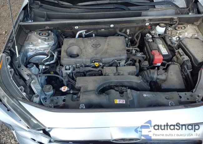 JTMG1RFV0KJ011936: 43393628