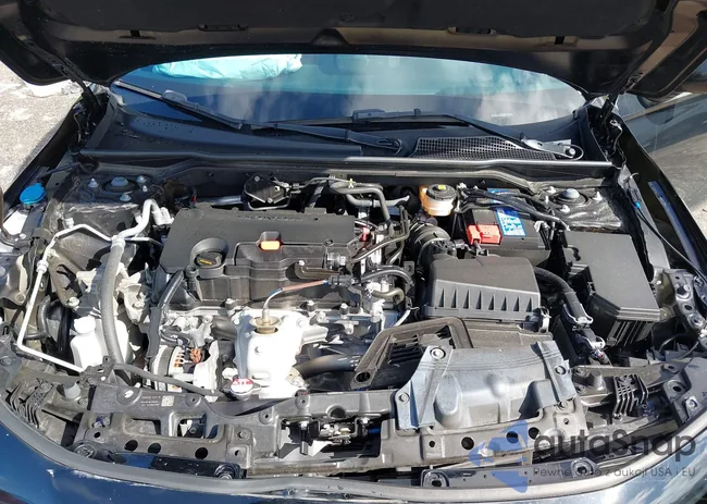 19XFL2H83RE006239: 43395151