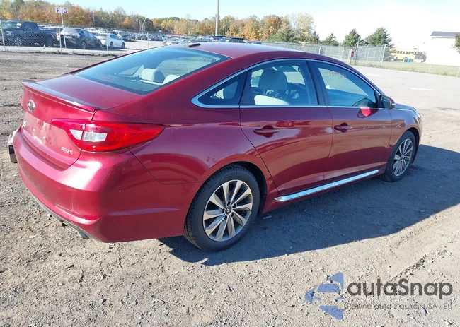 5NPE34AF8GH429844: 43394391