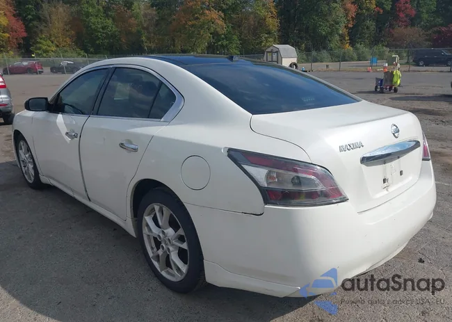 1N4AA5AP9DC826625: 43394419