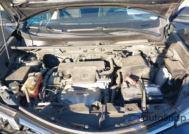 JTMBFREV0JJ743804: 43396135