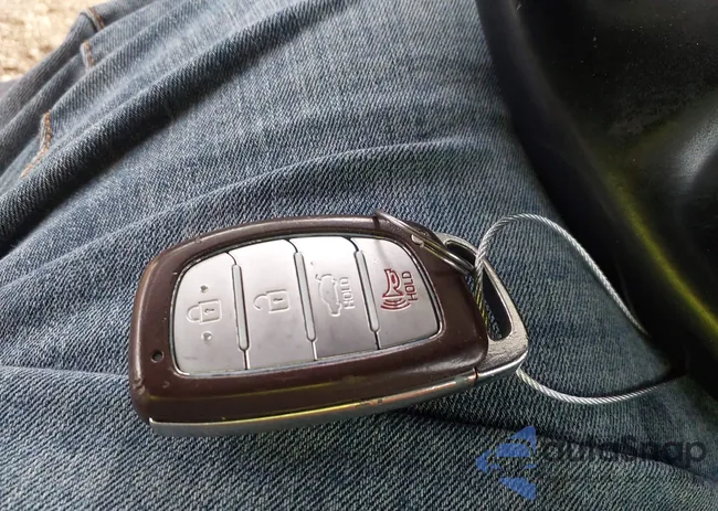 5NPE34AF1GH424596: 43396190