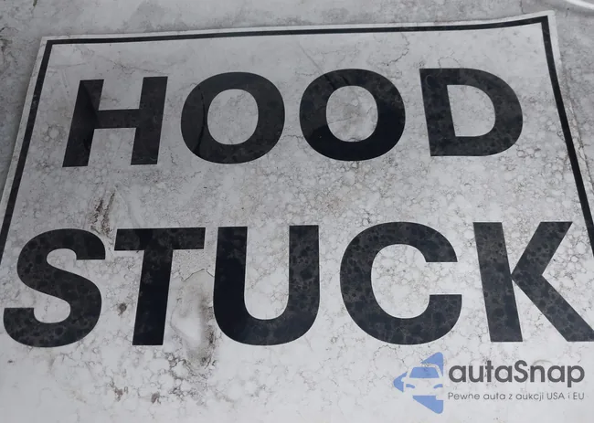 JA4AD2A39EZ010715: 43396720