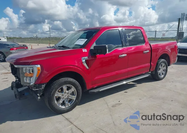 1FTEW1C51MKD98315: 43396816