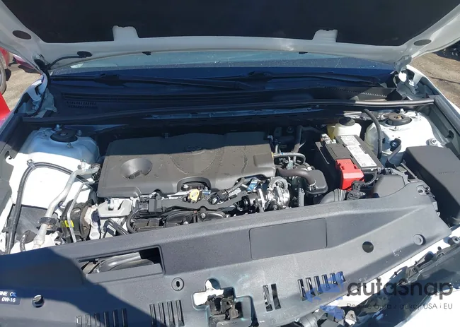 4T1G11AK7MU493834: 43396956