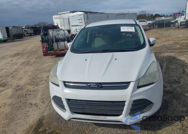 1FMCU0GX4EUD73347: 43398909