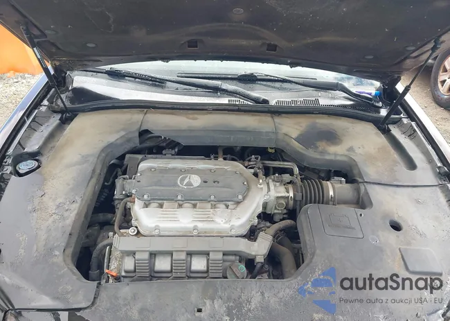 19UUA8F5XAA004733: 43398917