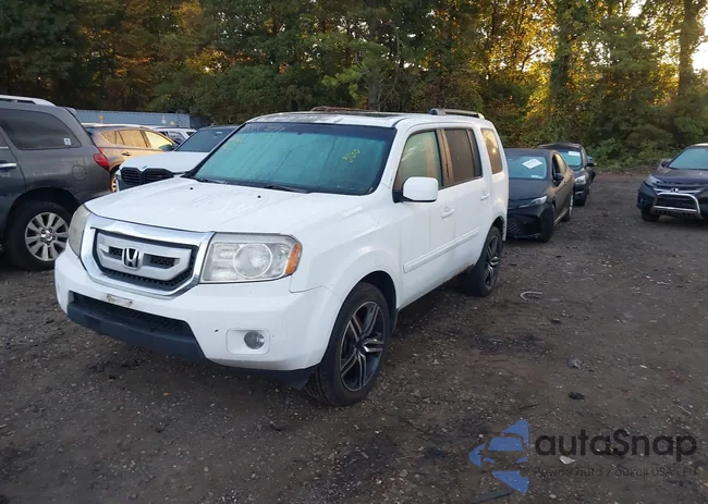 5FNYF4H66BB084735: 43399191