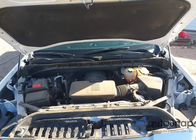 3GTU9FEL0NG204295: 43399300