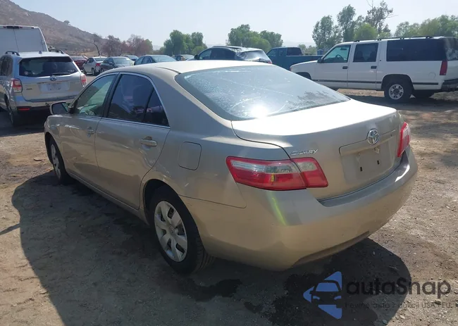 4T4BE46K58R031602: 43401182