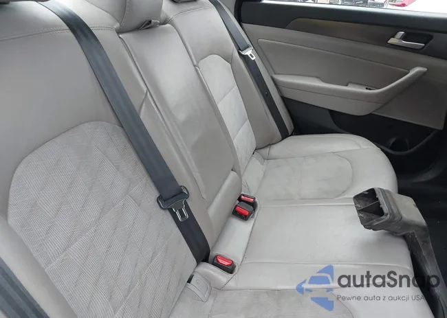 5NPE34AF3GH262244: 43401853