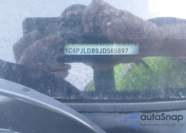 1C4PJLDB9JD565897: 43402784