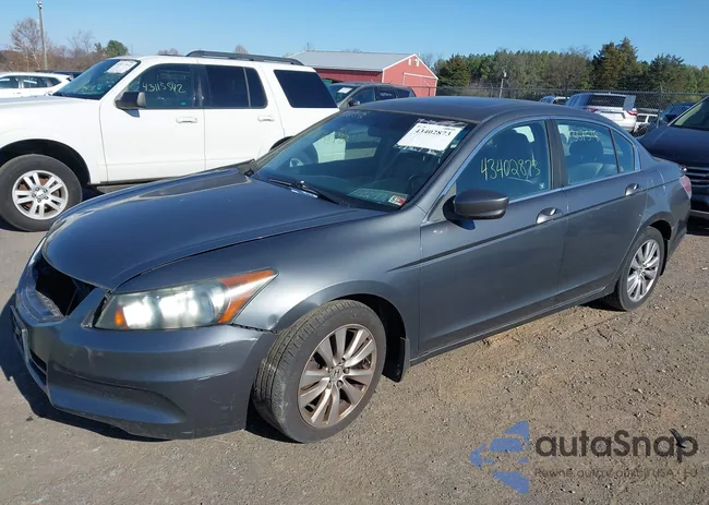 1HGCP2F81BA104769: 43402873