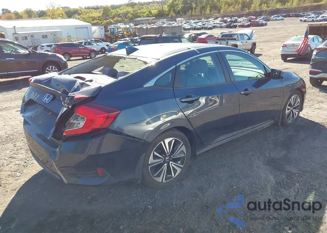 2HGFC1F34HH646448: 43403838