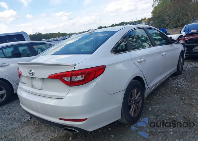 5NPE24AF3FH201039: 43404894