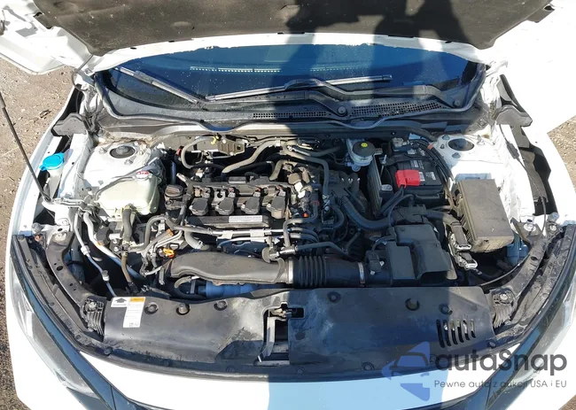 2HGFC3B34LH351702: 43404217