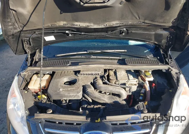 1FADP5AU6GL114661: 43404409