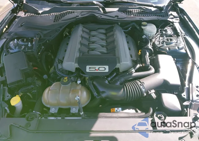 1FA6P8CF8G5333862: 43405764