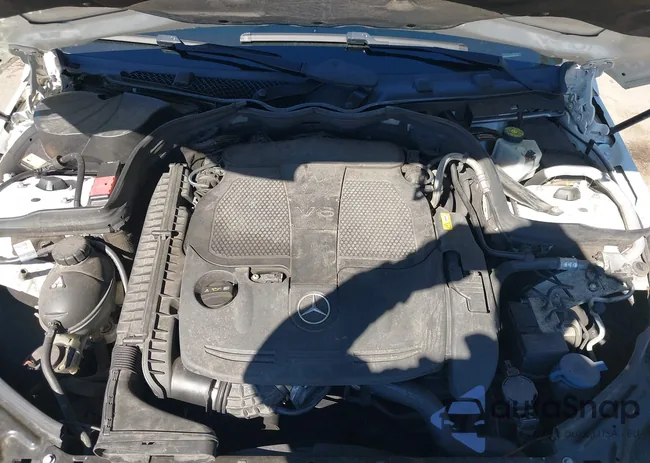 WDDGF8AB5DR299259: 43406105