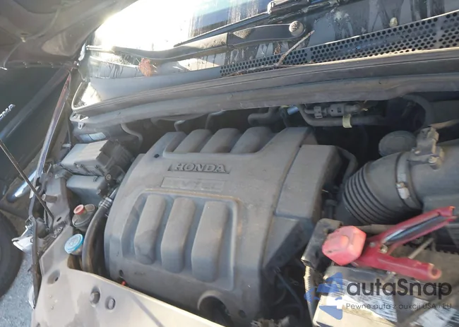 5FNRL38217B120908: 43405205