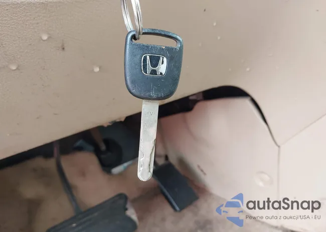 5FNRL38406B402988: 43406719