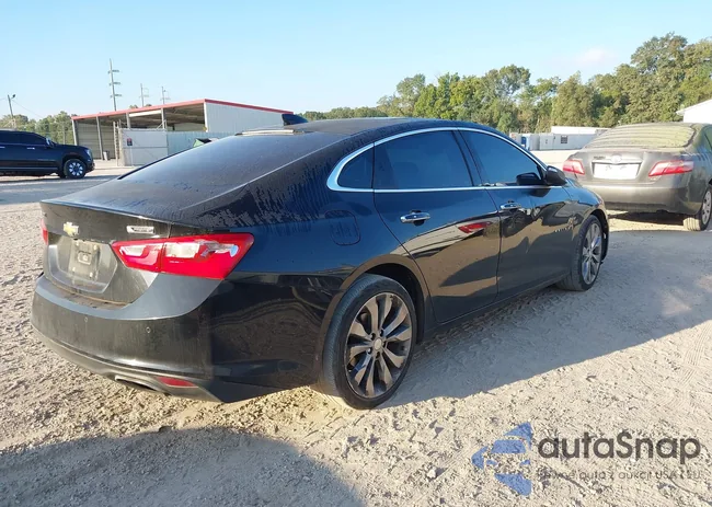 1G1ZH5SXXGF289427: 43406512