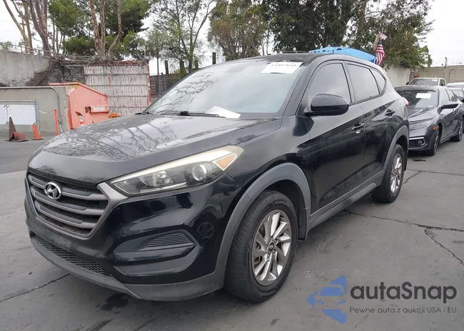 KM8J23A4XGU242438: 43407850