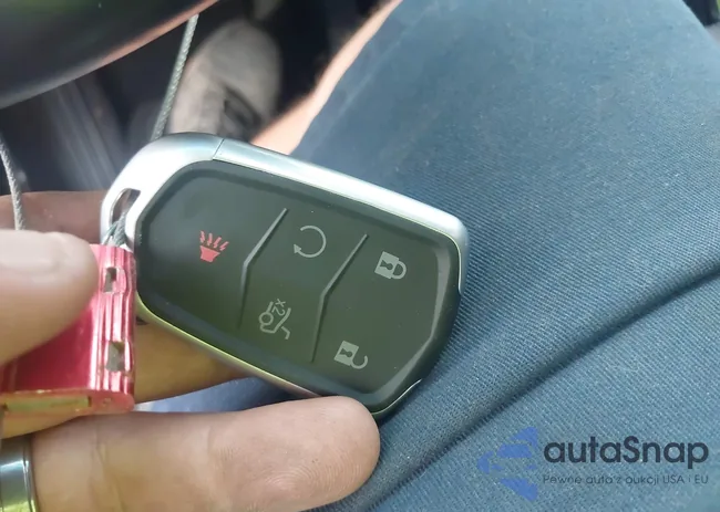 2GEXG6U33E9277344: 43407905