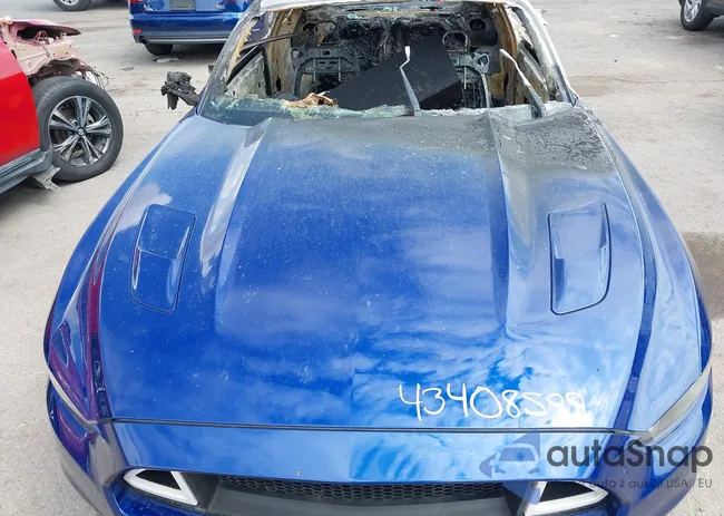 1FA6P8CF3F5316353: 43408599