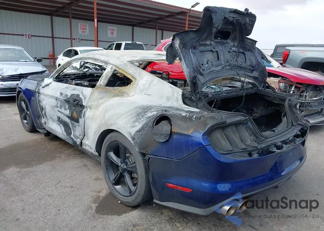 1FA6P8CF3F5316353: 43408599