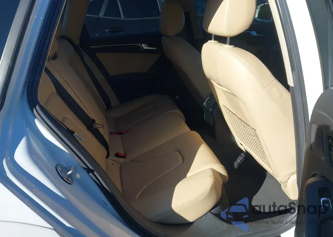 WA1UFAFL9DA215281: 43409022