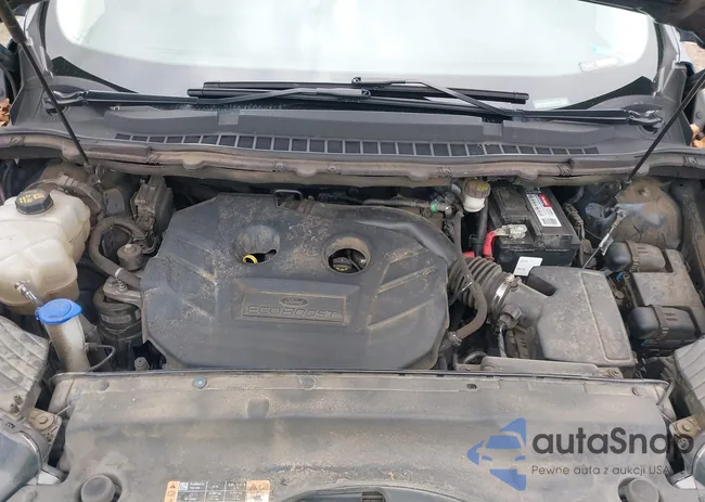 2FMPK3K95HBB21571: 43408505