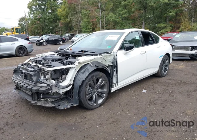 19UUB5F54MA012908: 43409255