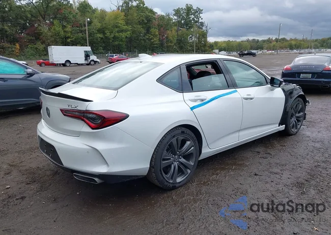 19UUB5F54MA012908: 43409255