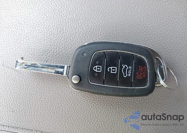 5NPE24AF5KH778391: 43409334