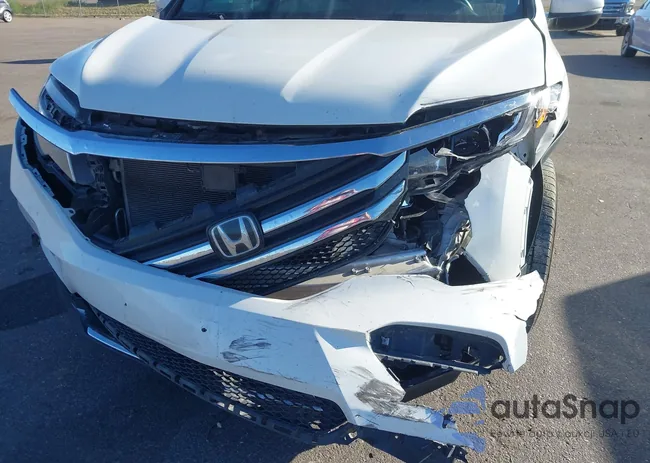 5FNYF6H91JB008621: 43410904