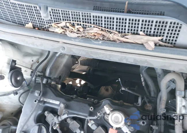 KNAGM4A75D5332429: 43410973