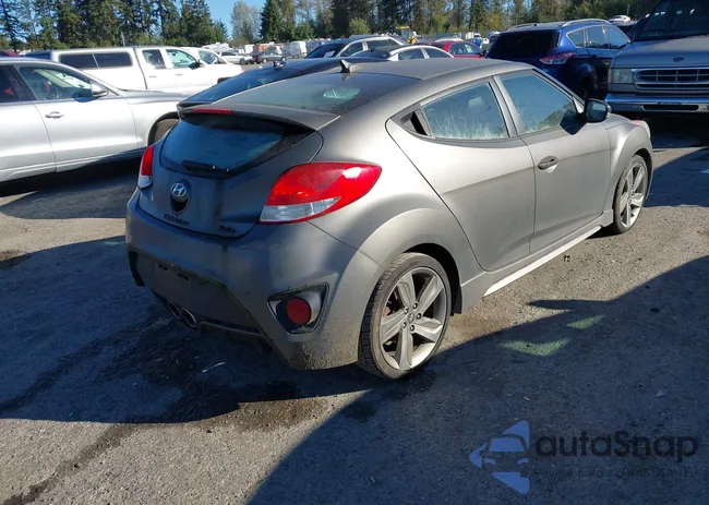 KMHTC6AE4FU244152: 43411135