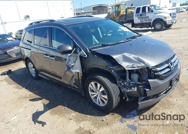 5FNRL5H69FB030905: 43411743