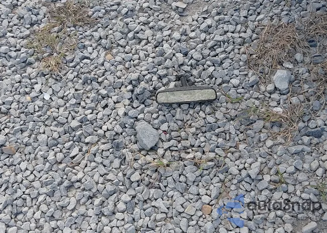 1C6RR6LT1GS225636: 43411853