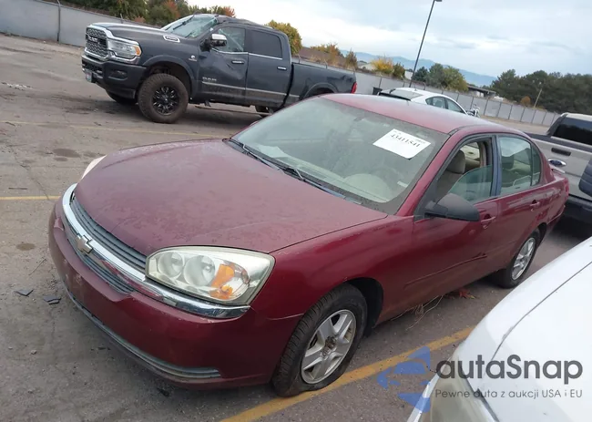 1G1ZT52885F270203: 43411541