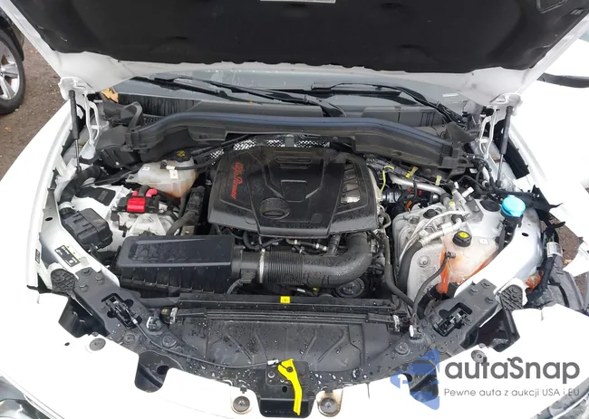 ZASPAKBN3N7D47229: 43413838