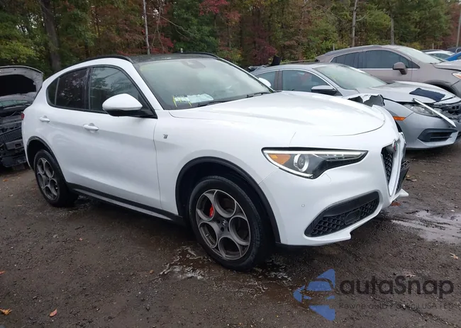 ZASPAKBN3N7D47229: 43413838